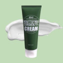Крем Derma Factory Edlp Houttuynia Cordata 71% Cream 120g, фото 4