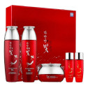 Набор с экстрактом красного женьшеня Daandan Bit Premium Red Ginseng 3 Set