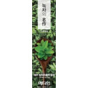 Зубная паста Median Green Tea Energy Toothpaste 120g