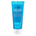 Шампунь для волос освежающий с ментолом ESTHETIC HOUSE CP-1 Cool Mint Shampoo Head Spa 100ml