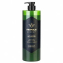 Шампунь з прополісом Kerasys Propolis Shampoo DuPicleanings (Green) 1Lм