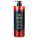 Шампунь з прополісом Kerasys Propolis Shampoo Hair Root Care (Red) 1L