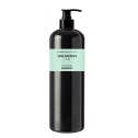 Шампунь для волосся з комплексом з цілющої трави Valmona Ayurvedic Scalp Solution Black Cumin Shampoo 480ml