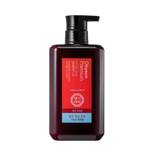 Премиум шампунь для жирной кожи головы DAENG GI MEO RI Premium Scalp shampoo(oily type) 500ml