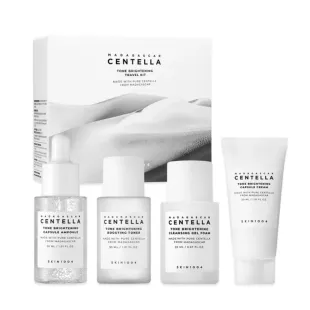 Набір мініатюрних доглядових засобів SKIN1004 Madagascar Centella Tone-Brightening Travel Kit