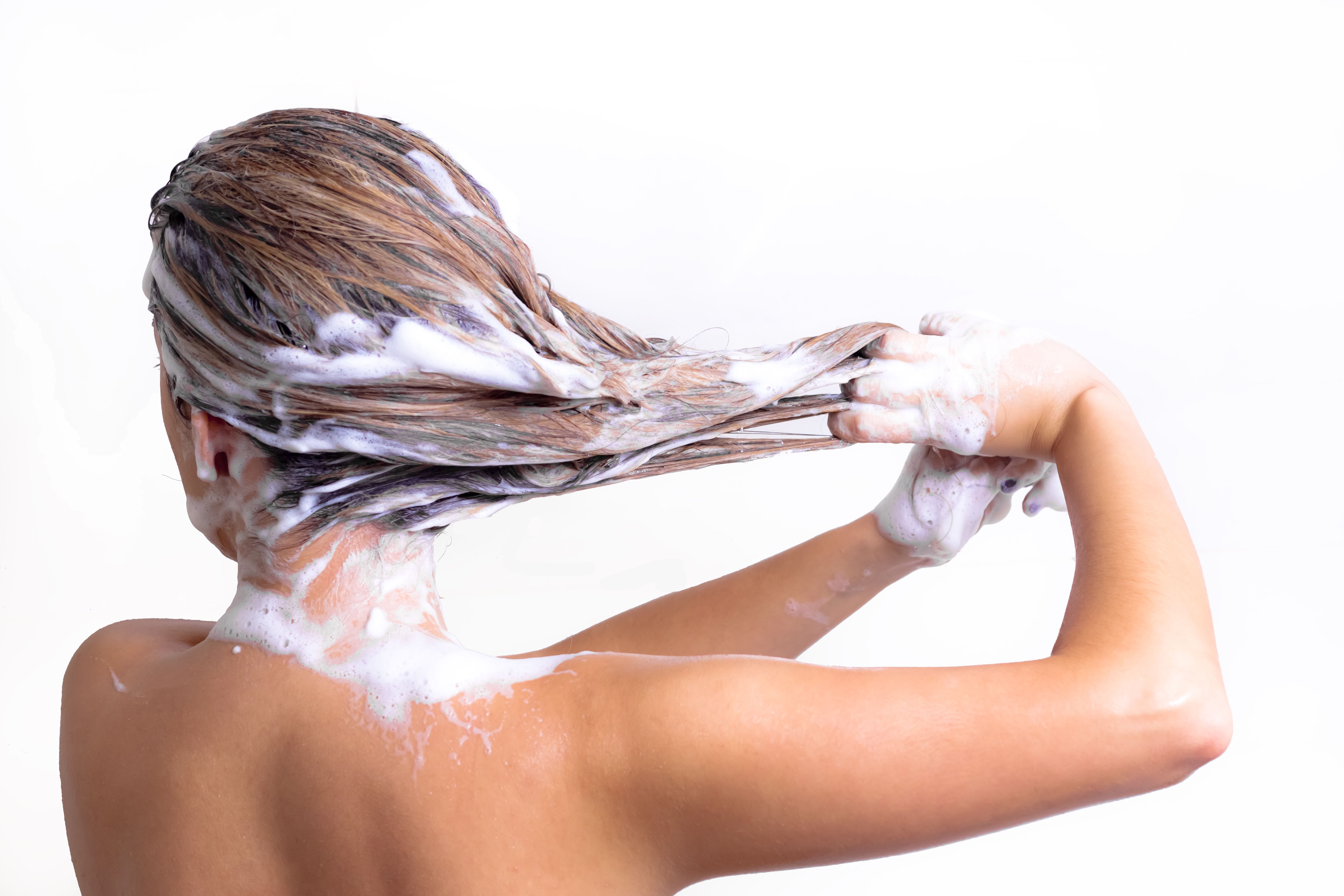 Нанесение шампуня на волосы