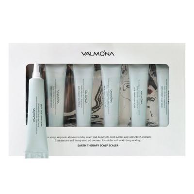 Сыворотка для кожи головы очищающая Valmona Earth Therapy Scalp Scaler 6х15ml