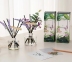 Аромадифузор Cocodor Flower Diffuser Lavender 200ml / 6.7oz + Reed Stick 5pcs + Lavender Stick 2pcs + Cocodor wood stick 1pc + Eucalyptus stick 1pc + Preserved Flower 4 - Фото 4