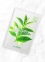 Маска антиоксидантная с экстрактом зеленого чая The Saem Natural Green Tea Mask Sheet 21ml 0 - Фото 1