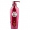 Шампунь для поврежденных волос с экстрактом хризантемы Daeng Gi Meo Ri Shampoo For Damaged Hair  1 - Фото 1