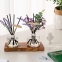 Cocodor Flower Diffuser Lavender 120 ml / 4.0 oz + Reed Stick 5pcs + Lavender Stick 2pcs + Cocodor wood stick 1pc 4 - Фото 4